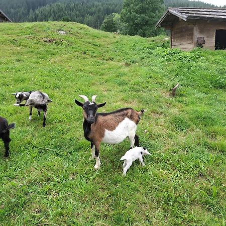 Pension Stammerhof ชลัดมิง ภายนอก รูปภาพ
