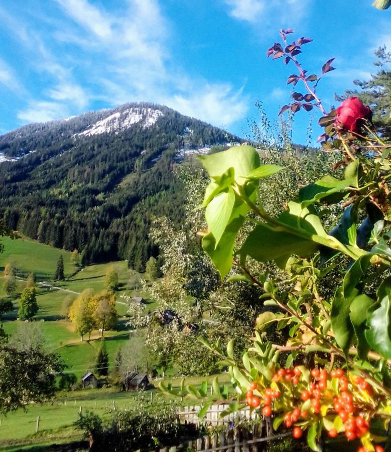 Pension Stammerhof ชลัดมิง ภายนอก รูปภาพ
