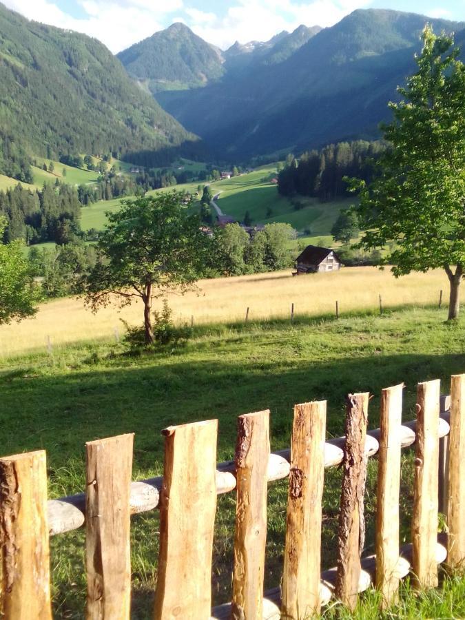 Pension Stammerhof ชลัดมิง ภายนอก รูปภาพ