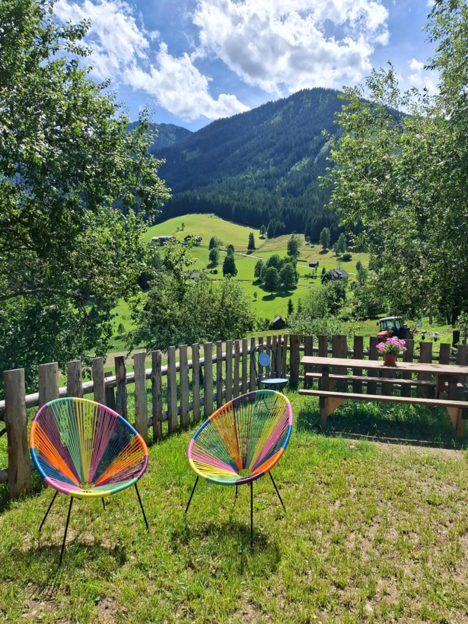 Pension Stammerhof ชลัดมิง ภายนอก รูปภาพ