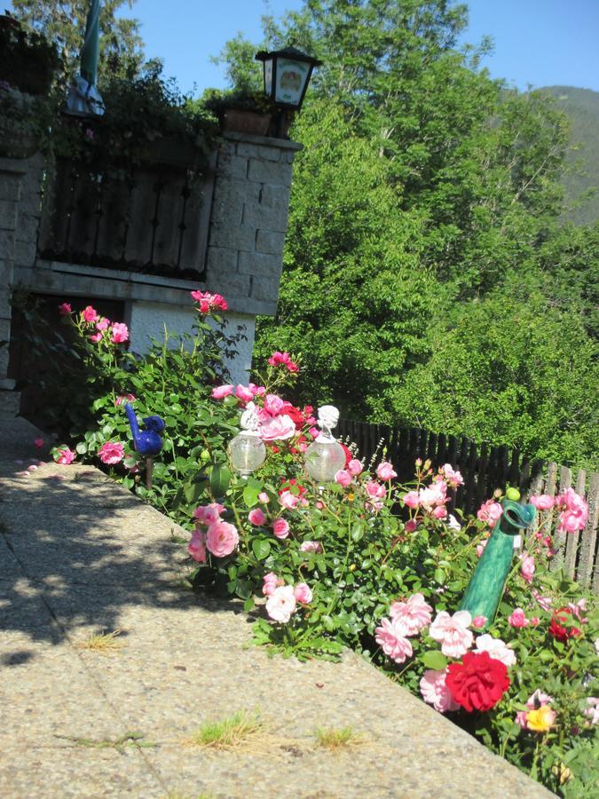 Pension Stammerhof ชลัดมิง ภายนอก รูปภาพ