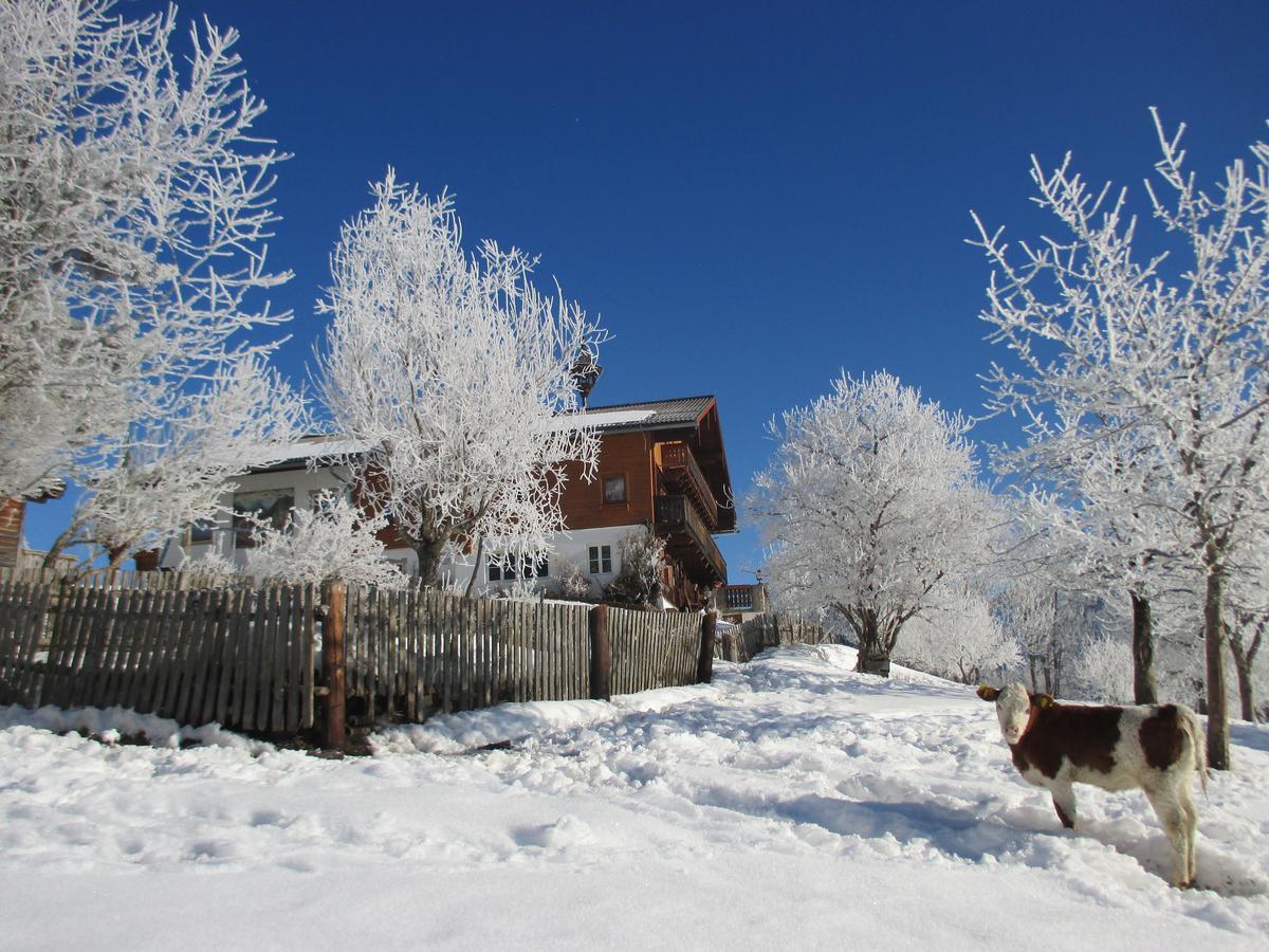 Pension Stammerhof ชลัดมิง ภายนอก รูปภาพ